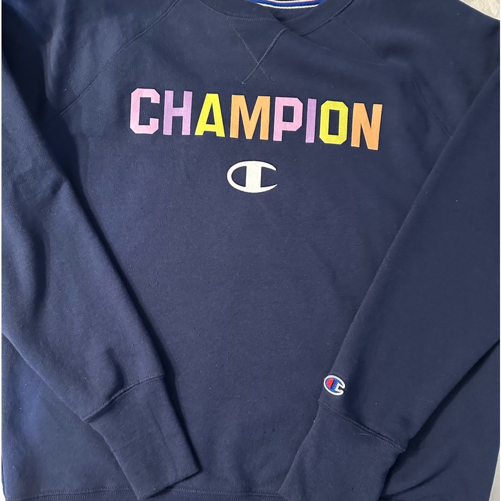 🌸🌺CLOSET BLOWOUT🌸🌺 Champion sweatshirt LARGE WOMEN EXCELLENT CONDITION!